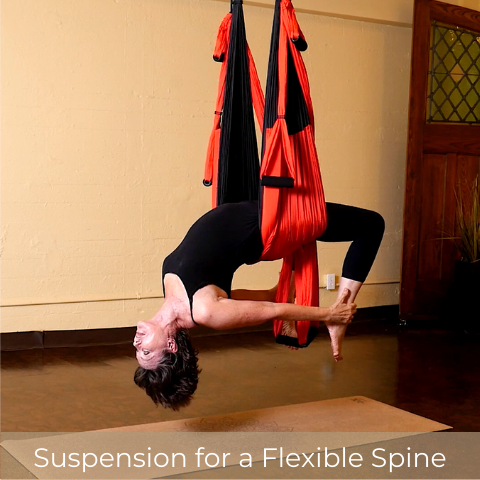 Suspension Yoga Video Set For Level II