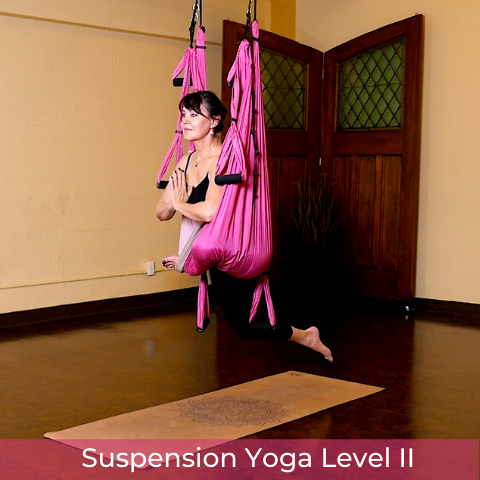 Suspension Yoga Video Set For Level II