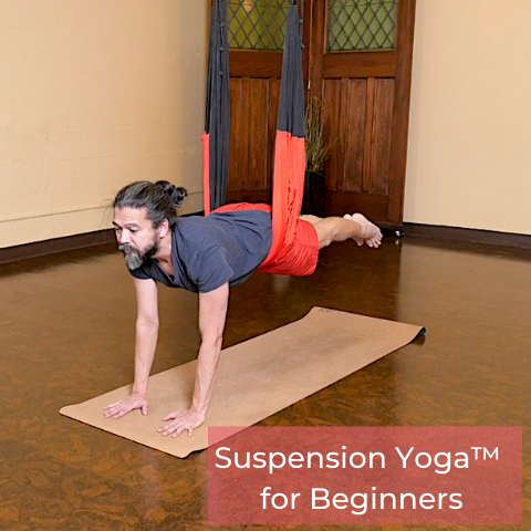 Suspension Video Set For Beginners – The Flying Yogi