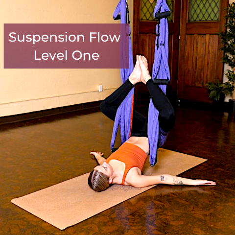 Suspension Video Set For Beginners